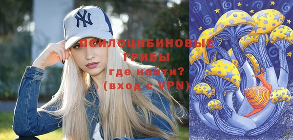 винт Горняк