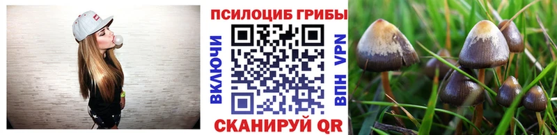 Галлюциногенные грибы прущие грибы  Тула 